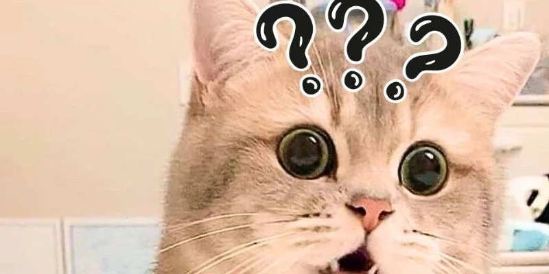 kho meme co nhieu chu de phu hop voi moi doi tuong